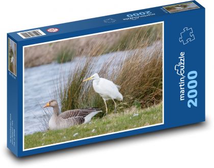 Volavka biela - brodivý vták, jazero - Puzzle 2000 dielikov, rozmer 90x60 cm 
