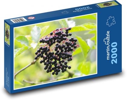 Bezinka - ovoce, plody - Puzzle 2000 dílků, rozměr 90x60 cm