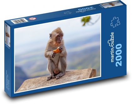 Makak - opice, jíst - Puzzle 2000 dílků, rozměr 90x60 cm
