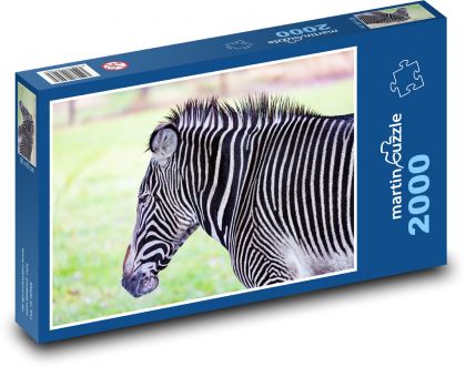 Zebra - Safari, Streifen - Puzzle - 2000 Teile