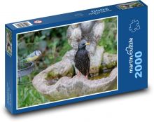 Špaček - kúpanie, voda Puzzle 2000 dielikov - 90 x 60 cm