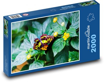 Grüner Schmetterling - Blume, Insekt - Puzzle - 2000 Teile