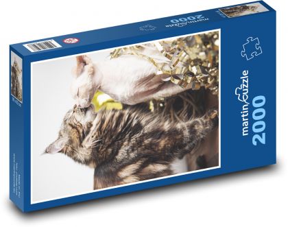 Cat - couple, pet - Puzzle 2000 pieces, size 90x60 cm 