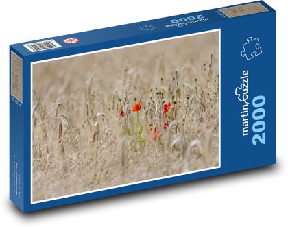 Červený mák - ječné pole, příroda - Puzzle 2000 dílků, rozměr 90x60 cm