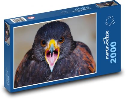 Orel - dravý pták, dravec - Puzzle 2000 dílků, rozměr 90x60 cm