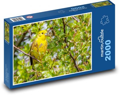 Žlutý pták - pěvec, pták na stromě - puzzle 2000 dílků