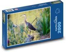 Blaureiher - Schilf, Wasser Puzzle 2000 Teile - 90 x 60 cm