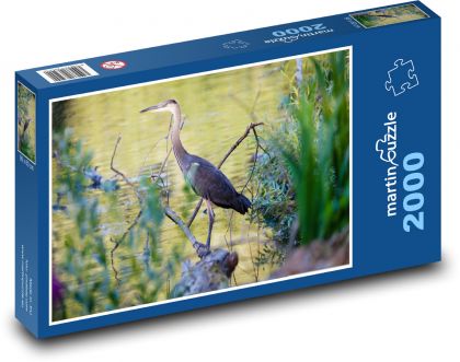 Modrá volavka - rákosí, voda - puzzle 2000 dílků