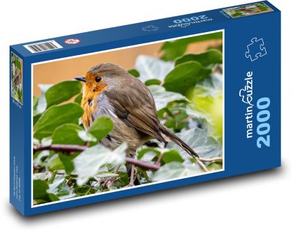 Červenka - vták na vetve, posedenie - Puzzle 2000 dielikov, rozmer 90x60 cm 