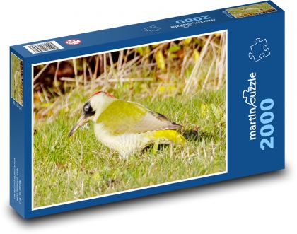 Green woodpecker - yellow-green, bird - Puzzle 2000 pieces, size 90x60 cm 
