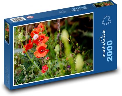 Red poppy - flowers, field - Puzzle 2000 pieces, size 90x60 cm 