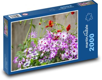 Purple daisy - flower, garden - Puzzle 2000 pieces, size 90x60 cm 