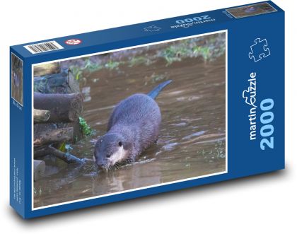 Vydra - voda, zviera - Puzzle 2000 dielikov, rozmer 90x60 cm 