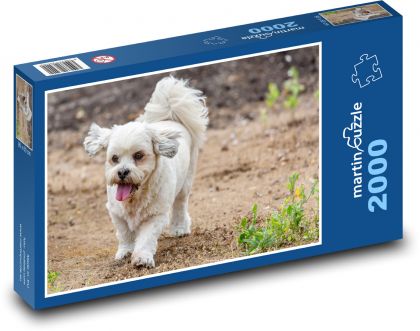 Pies - pies, uroczy - Puzzle 2000 elementów, rozmiar 90x60 cm