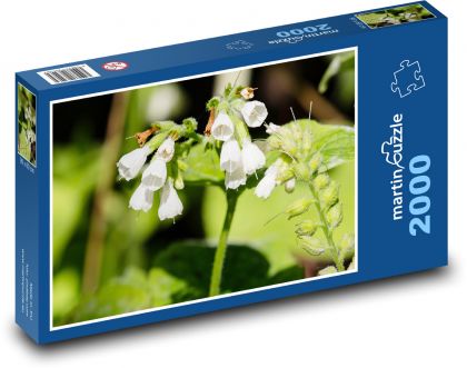 Dzika roślina - białe kwiaty, wiosna - Puzzle 2000 elementów, rozmiar 90x60 cm