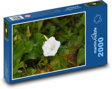 Pupenec - biely kvet, rastlina Puzzle 2000 dielikov - 90 x 60 cm