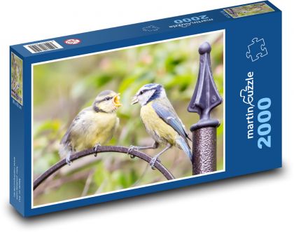 Krmení mláďat - modřinka, pták - Puzzle 2000 dílků, rozměr 90x60 cm
