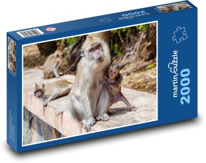 Opice - makak, mláďa - Puzzle 2000 dielikov, rozmer 90x60 cm 