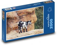 Horská koza - zviera, príroda Puzzle 2000 dielikov - 90 x 60 cm
