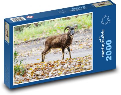 Koza rogata - gospodarstwo, zwierzę - Puzzle 2000 elementów, rozmiar 90x60 cm