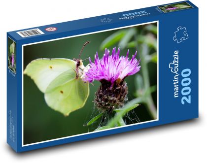 Zielony motyl - kwiat, ogród - Puzzle 2000 elementów, rozmiar 90x60 cm