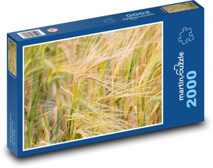 Pole pšenice - sklizeň, zemědělství  - Puzzle 2000 dílků, rozměr 90x60 cm