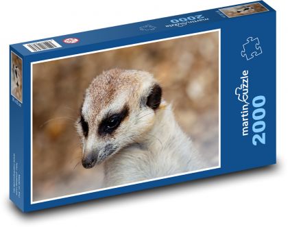 Surikata - sledování, zblízka - Puzzle 2000 dílků, rozměr 90x60 cm