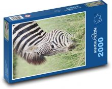 Zebra - pruhované zviera, Afrika Puzzle 2000 dielikov - 90 x 60 cm