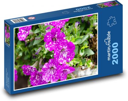 purpurový kvet - záhrada, kvetina - Puzzle 2000 dielikov, rozmer 90x60 cm 
