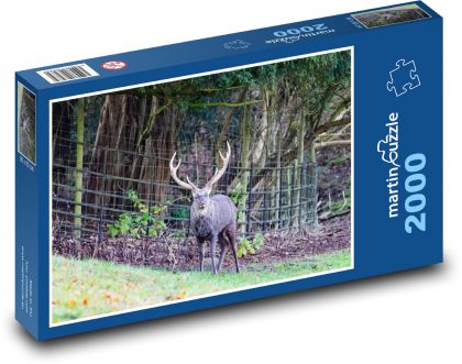Divoký jelen - parohy, les - Puzzle 2000 dílků, rozměr 90x60 cm