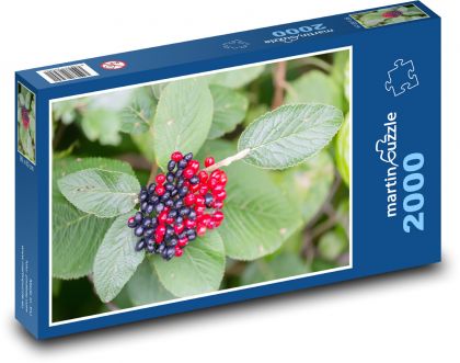 Červené bobule - olistění, listy - puzzle 2000 dílků