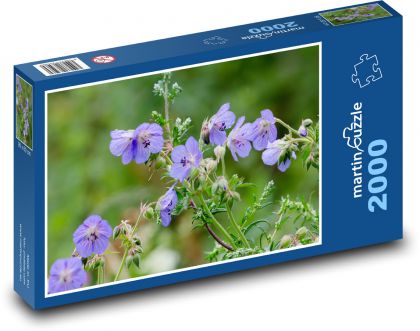 Purple flowers - garden, petals - Puzzle 2000 pieces, size 90x60 cm 