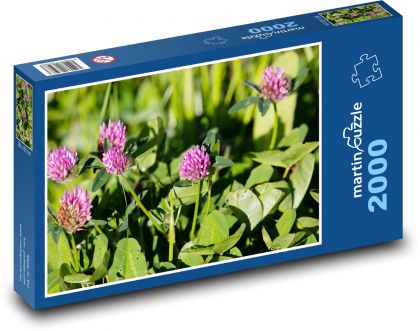 Ružová ďatelina - divoká rastlina, lúka - Puzzle 2000 dielikov, rozmer 90x60 cm 