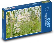Ochsen-Gänseblümchen - Wiese, Gänseblümchen Puzzle 2000 Teile - 90 x 60 cm