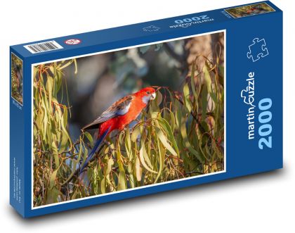Papoušek - rozela, pták - Puzzle 2000 dílků, rozměr 90x60 cm