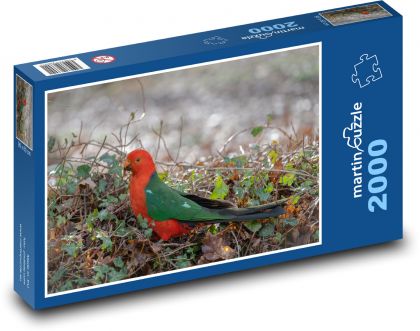 Parrot - Australian kingfish, bird - Puzzle 2000 pieces, size 90x60 cm 