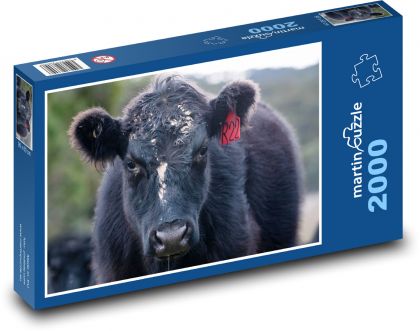 Čierna krava - dobytok, zviera - Puzzle 2000 dielikov, rozmer 90x60 cm 