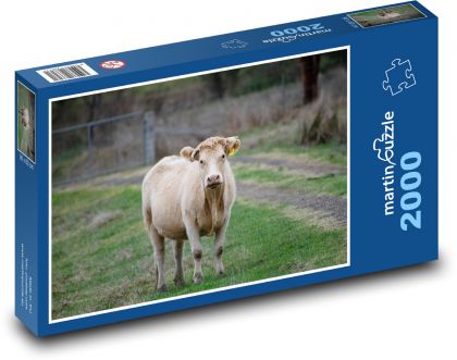 Krava - dobytok, zviera - Puzzle 2000 dielikov, rozmer 90x60 cm 