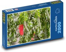 Grevilea - hodvábny dub, strom Puzzle 2000 dielikov - 90 x 60 cm