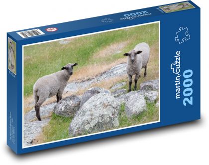 Sheep - pasture, farm - Puzzle 2000 pieces, size 90x60 cm 