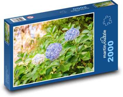 Flower hydrangea - plant, flower - Puzzle 2000 pieces, size 90x60 cm 