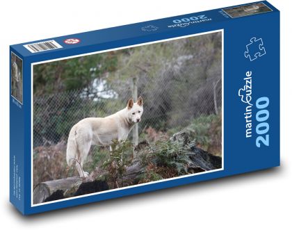 Dingo - pes, zvíře - Puzzle 2000 dílků, rozměr 90x60 cm