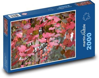 Vinná réva - listy, podzim - Puzzle 2000 dílků, rozměr 90x60 cm