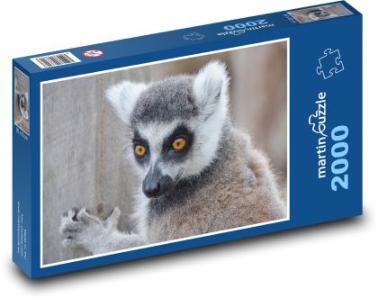 Lemur - divoká zvěř, Madagaskar  - Puzzle 2000 dílků, rozměr 90x60 cm