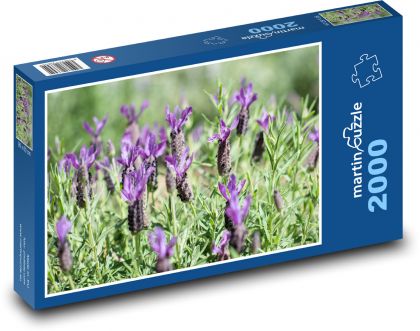Levanduľa - kvety, jar - Puzzle 2000 dielikov, rozmer 90x60 cm 