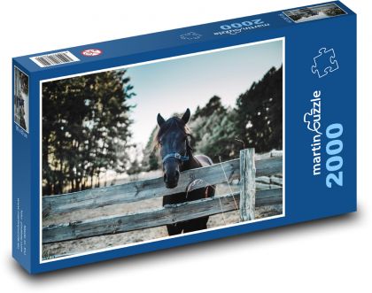 Čierny kôň - ohrada, farma - Puzzle 2000 dielikov, rozmer 90x60 cm 