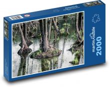 Stromy v lese - močiar, voda Puzzle 2000 dielikov - 90 x 60 cm