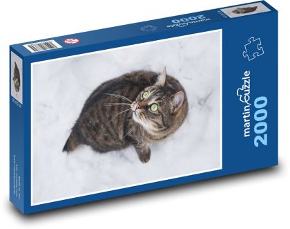 Kočka ve sněhu - domácí mazlíček, zima - Puzzle 2000 dílků, rozměr 90x60 cm