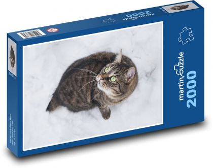 Mačka v snehu - domáci maznáčik, zima - Puzzle 2000 dielikov, rozmer 90x60 cm 