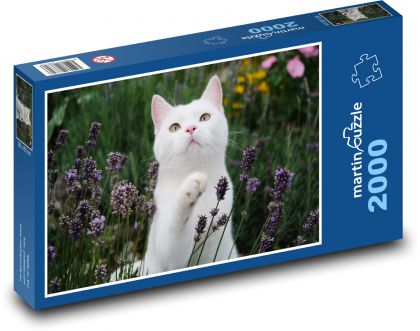 Britská krátkosrstá kočka - bílá, zahrada - Puzzle 2000 dílků, rozměr 90x60 cm